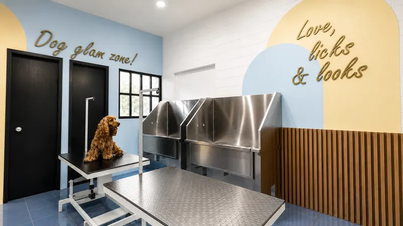 Doggie Spa